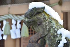 雪が降って