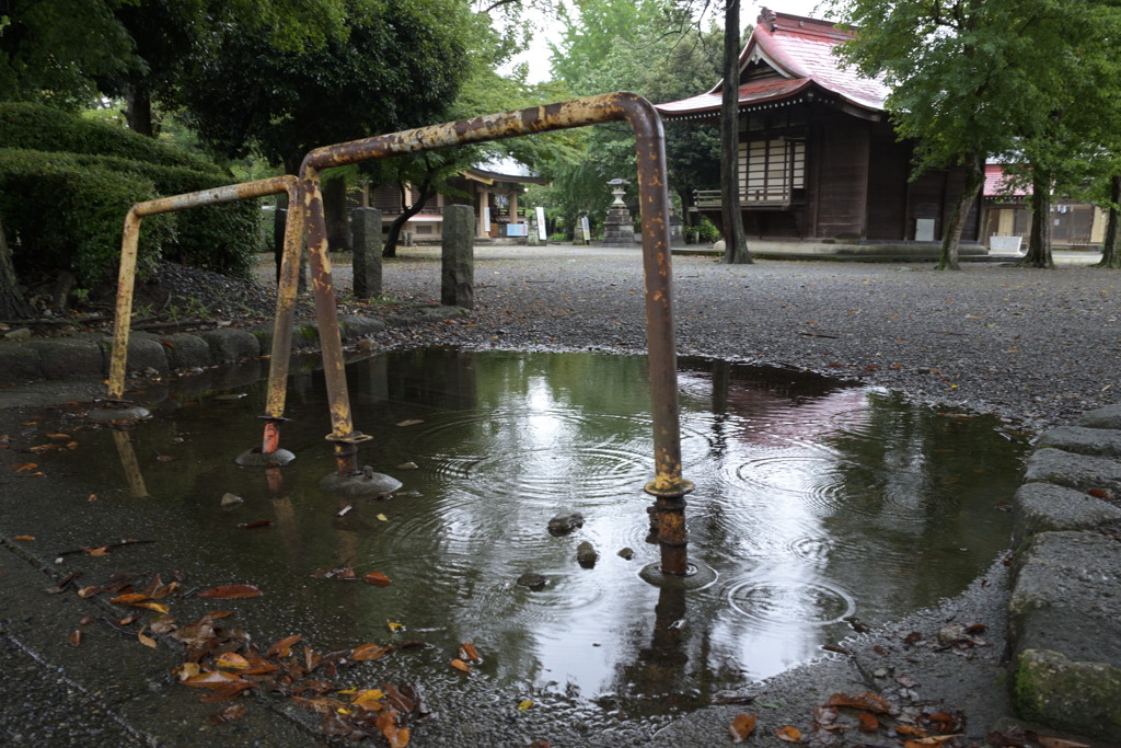 雨の合間