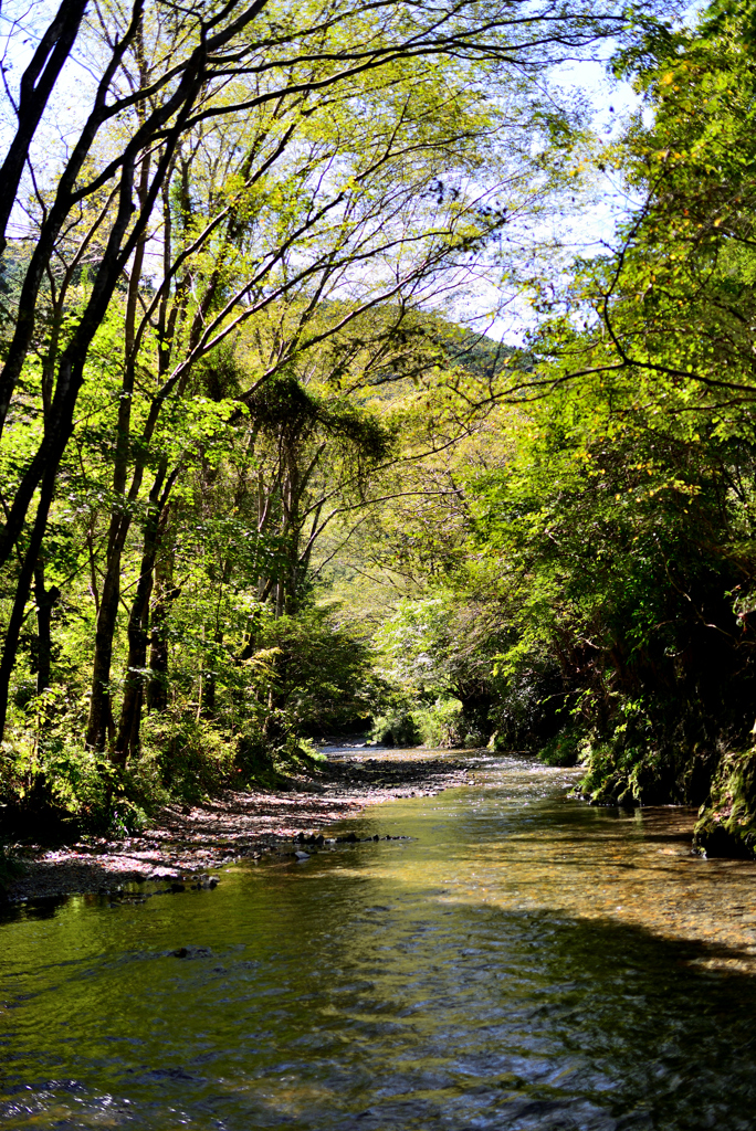 夏の終わりの風景