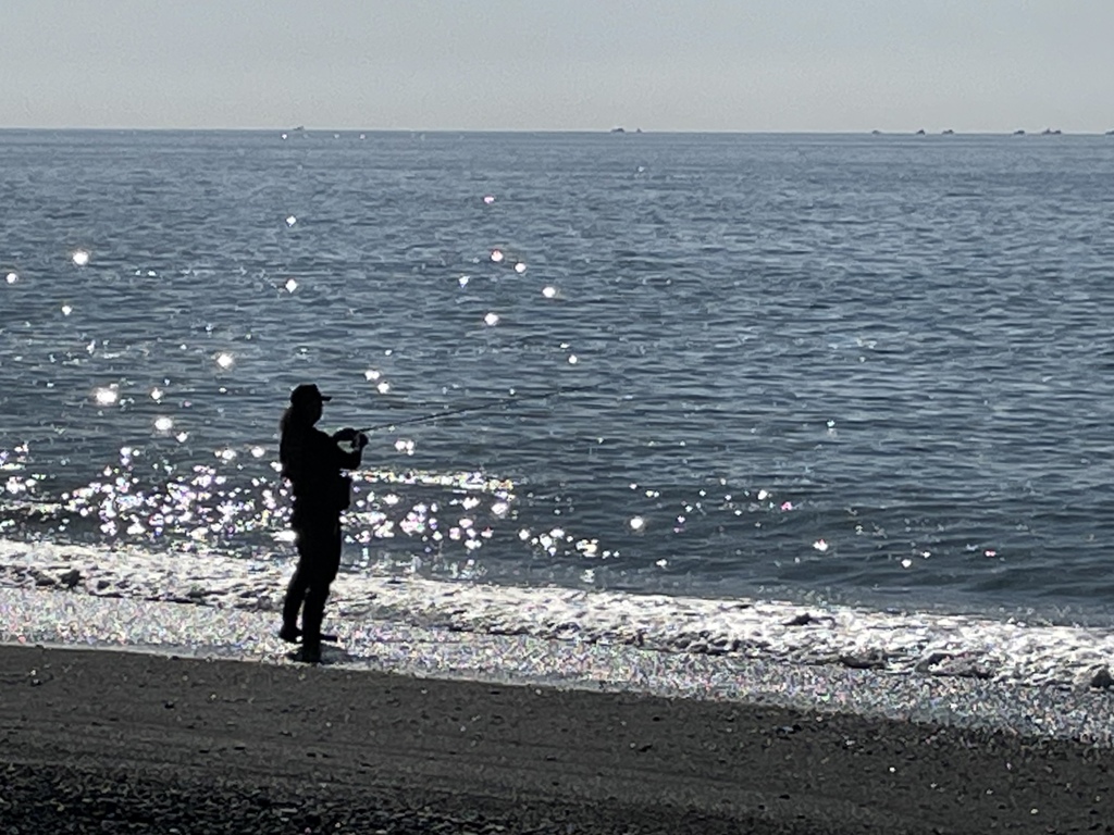 国府津海岸
