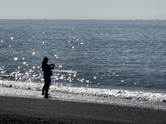 国府津海岸