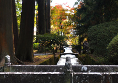 参道にかかる橋