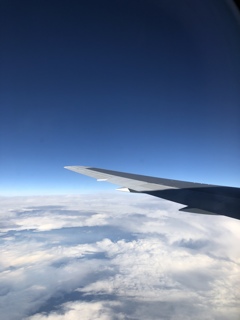 雲の上