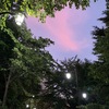 今日の空