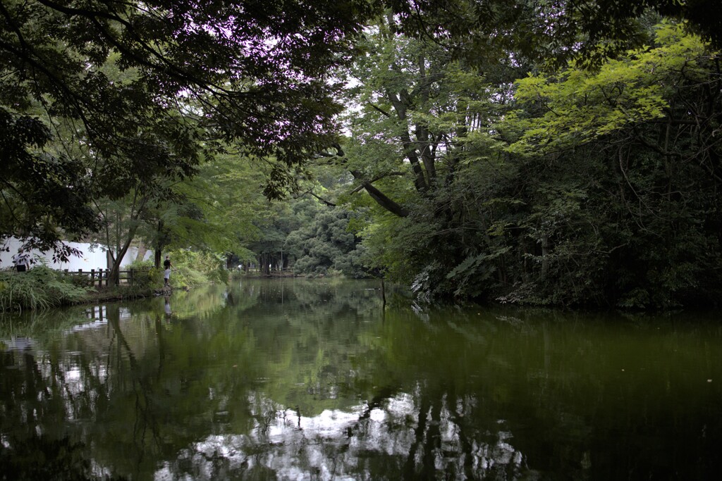 池とザリガニつり親子