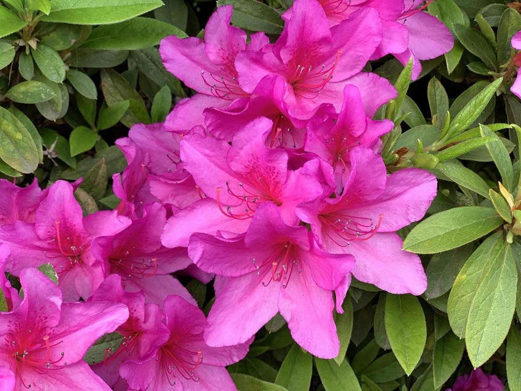 周りにもこんな色が