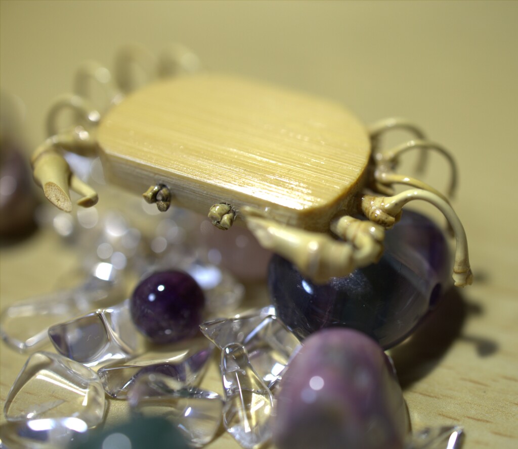 カニと対峙　Σ(ﾟДﾟ)