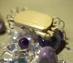 カニと対峙　Σ(ﾟДﾟ)