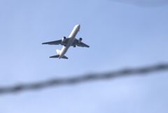 パパイヤパパの５枚組劇場　③　カメラ小僧になったよの巻
