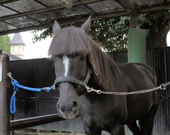 笑った理由は　いかした前髪！