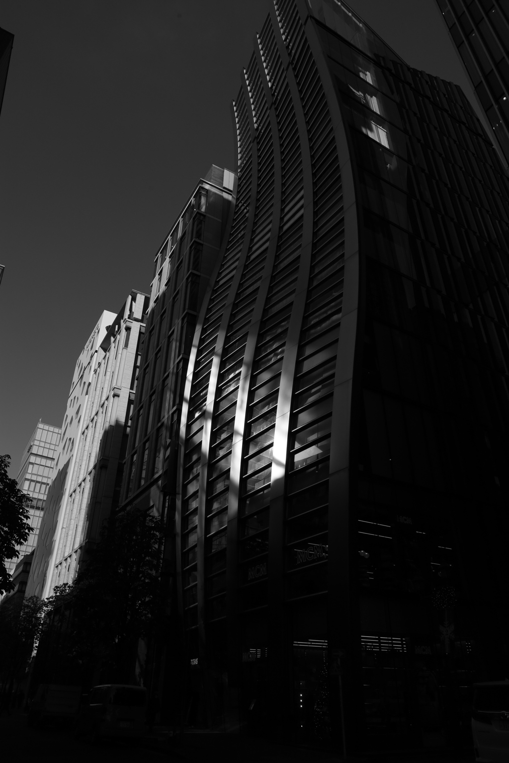 やっと　　光と影が・・・できたかな？　　IMG_9075