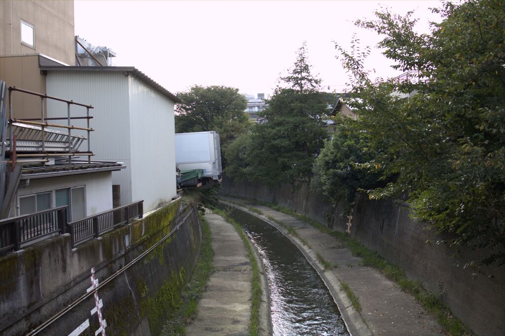 街角ウォッチ　　はみ出てますけどおおおおお～～～