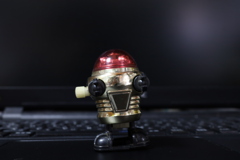 マクロ撮影①体験記