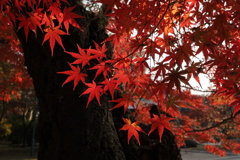 東漸寺②