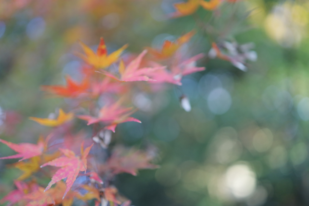 東漸寺③