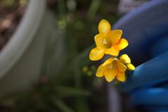 う～～ん　重たいぞっと！