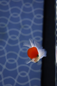 何か怒ってる？？？