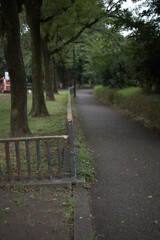 また手すり(笑)