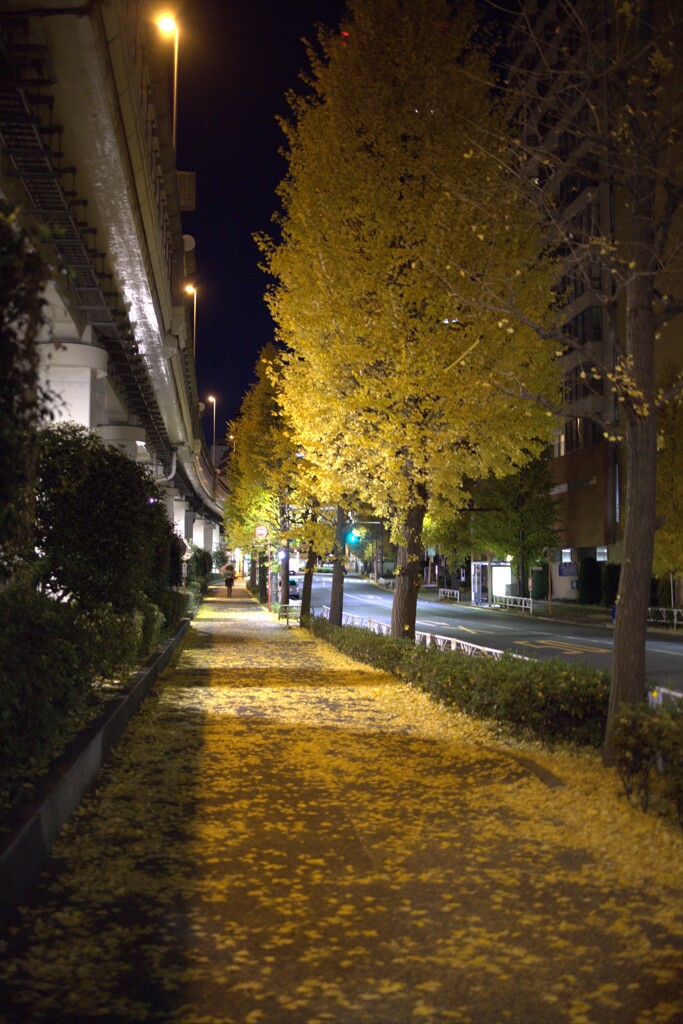 夜明け前の新宿