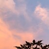 夏の変化