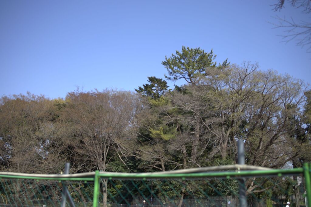 さてさて何がいるのかな？大鷹を撮っていたカメラマンさんと遭遇　何もわかりません