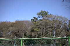 さてさて何がいるのかな？大鷹を撮っていたカメラマンさんと遭遇　何もわかりません