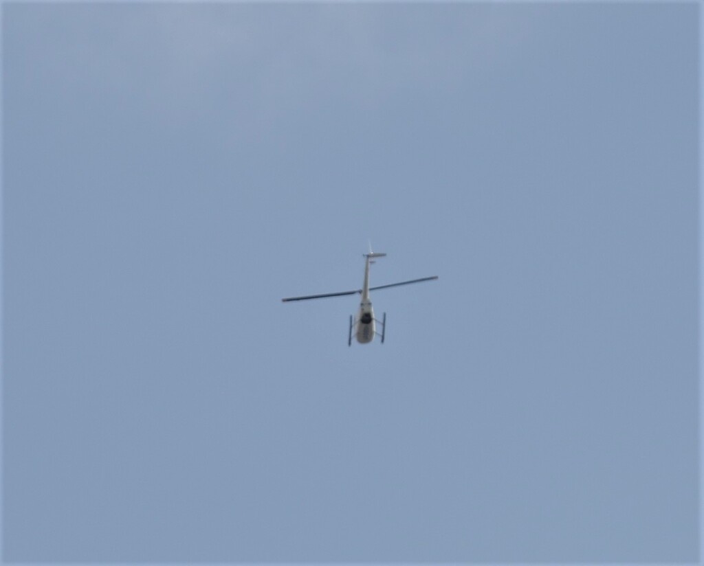 今日のマイベスト3　②やっと来た　ヘリコプター　一機