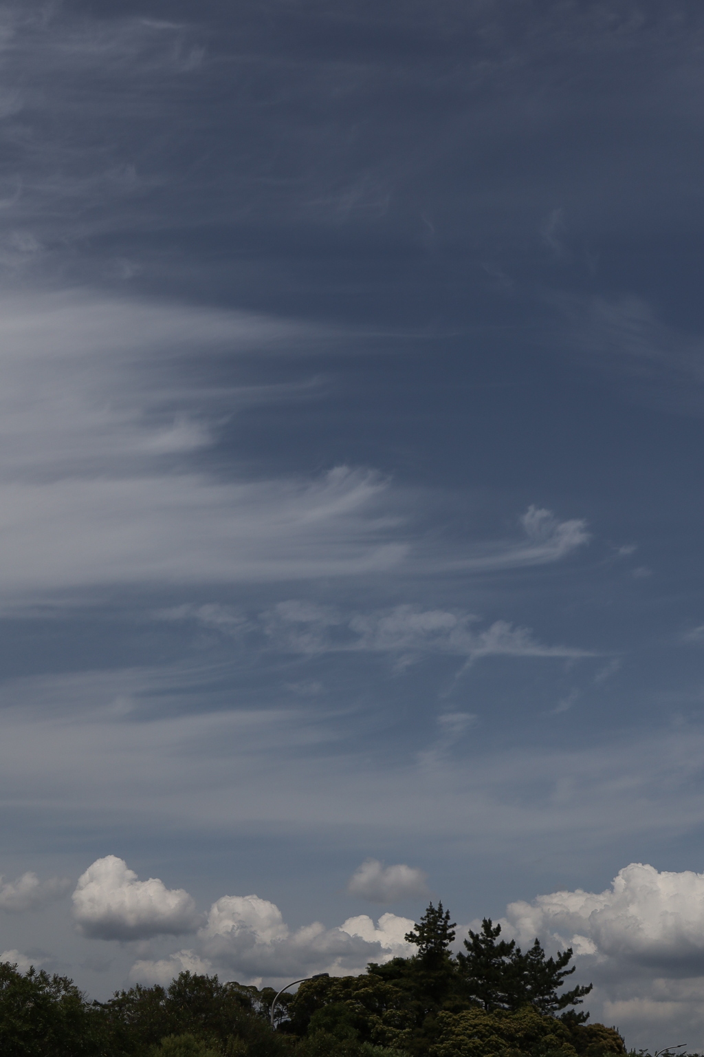 龍が乗る雲　キン斗雲
