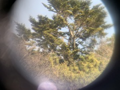 カメラマンさんの助言にて良い方法が！　真ん中にいます！