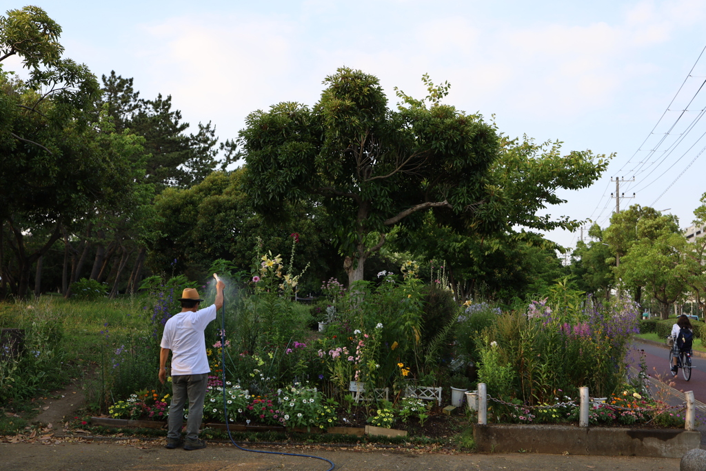 遠くのお花もね！