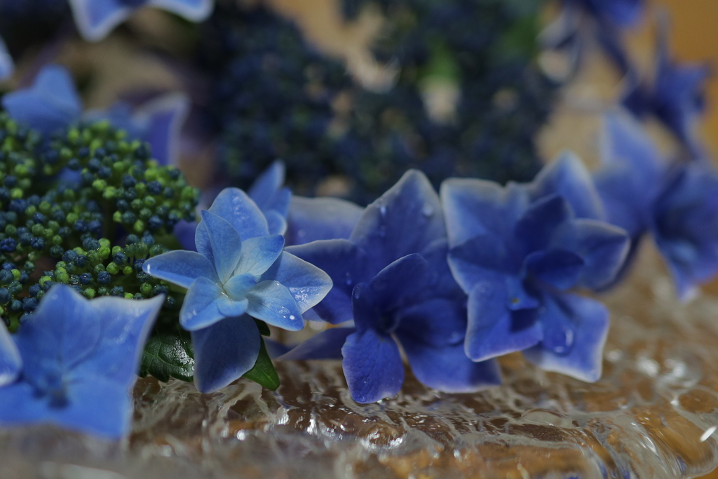 青いお花のお味はいかが？