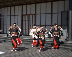 旅先で　よさこい祭りに遭遇