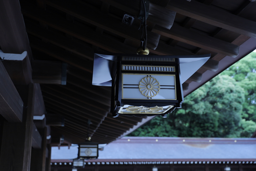 撮影の練習　　　IMG_7081