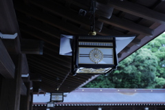 撮影の練習　　　IMG_7081