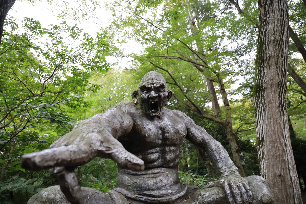 IMG_6211　　広角っぽく撮影して～と先生方のご注文　撮れてるのかな？