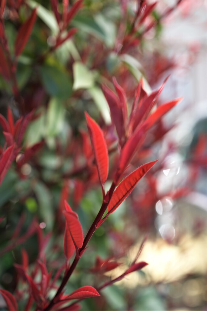 震災から10年・・・それでも日は昇る