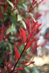 震災から10年・・・それでも日は昇る