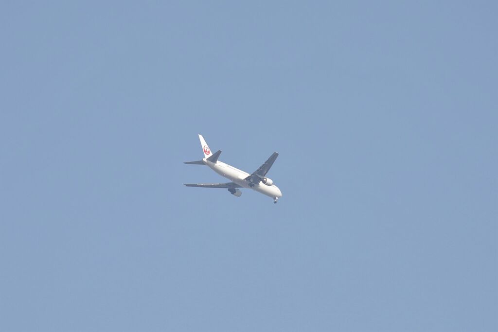 どどどどっと激写してみた(笑)