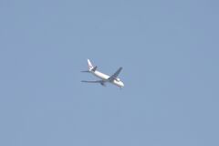 どどどどっと激写してみた(笑)