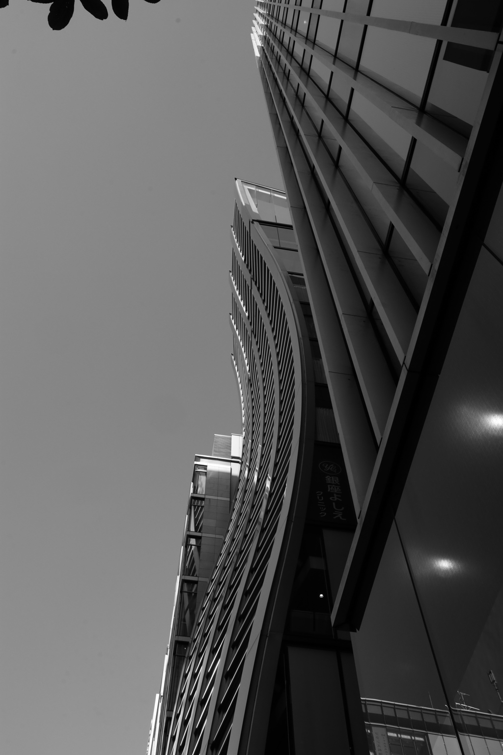 初挑戦　モノクロ撮影　銀座界隈              IMG_9154