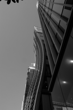 初挑戦　モノクロ撮影　銀座界隈              IMG_9154