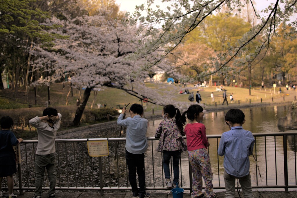 子供たちは・・花より男子～♬