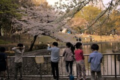 子供たちは・・花より男子～♬