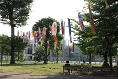 5月です！こいのぼりはまだ寝てた！(^^)