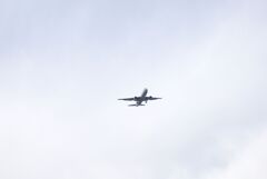 パパイヤパパの５枚組劇場　②　カメラ小僧になったよの巻