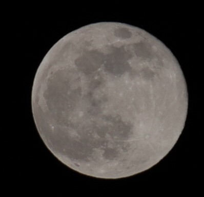 お月さんマイカメラ素顔