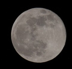 お月さんマイカメラ素顔