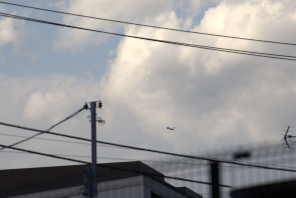 パパイヤパパの５枚組劇場　⓵　カメラ小僧になったよの巻