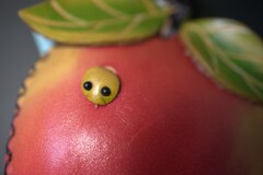 小物入れからこんにちわ！