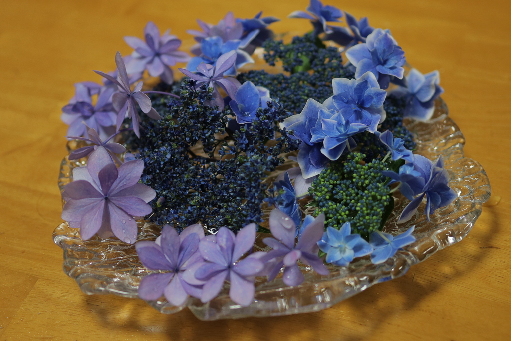 今日のお料理、召し上がれ～おすそ分けのおすそ分け